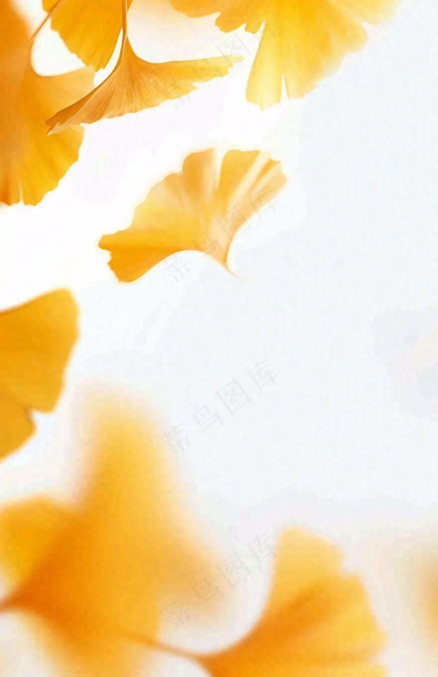 秋天秋分立秋