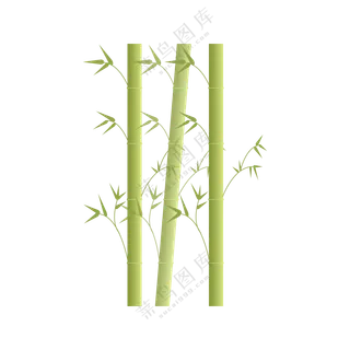 手绘青色竹子白色背景模板设计
