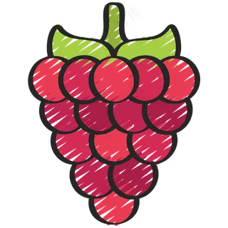 葡萄 grape 绿色健康食品 铅笔手绘图标icon