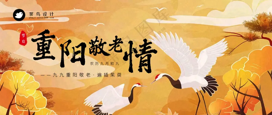 重阳节敬老公众号首图