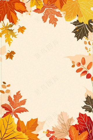 秋天黄了的树叶植物立秋秋分插画边框背景