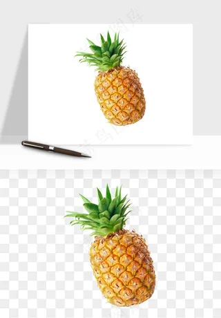 菠萝水果png免抠