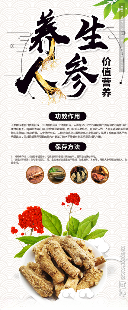 人参易拉宝西洋参宣传人参海报