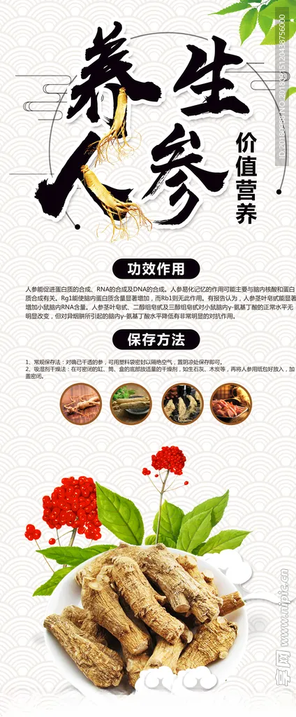 人参易拉宝西洋参宣传人参海报