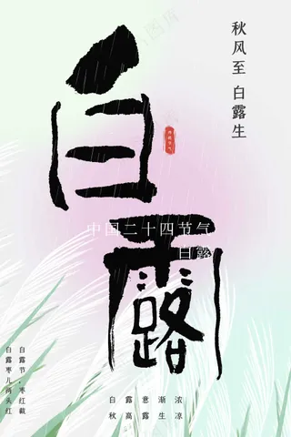 白露节气传统活动海报