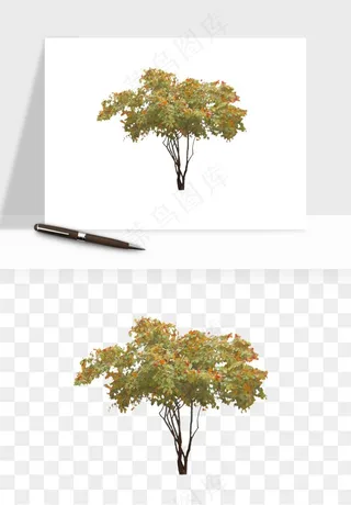 水彩手绘树木png免抠