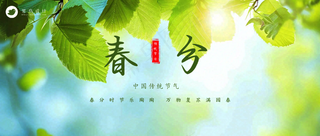 春分公众号首图