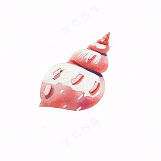 海洋贝壳海螺生物卡通插画免抠