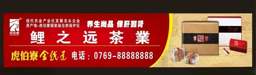 金线莲虎伯寮金线莲野生金线莲海报