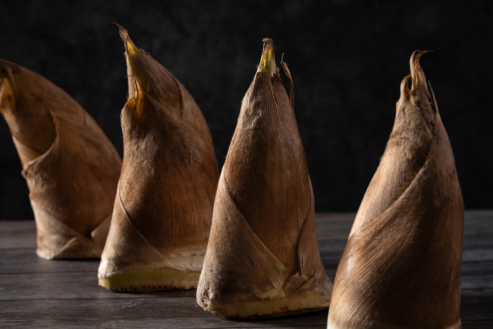 新鲜竹笋食材背景素材