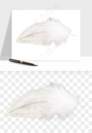 白羽毛漂浮彩色羽毛png免抠