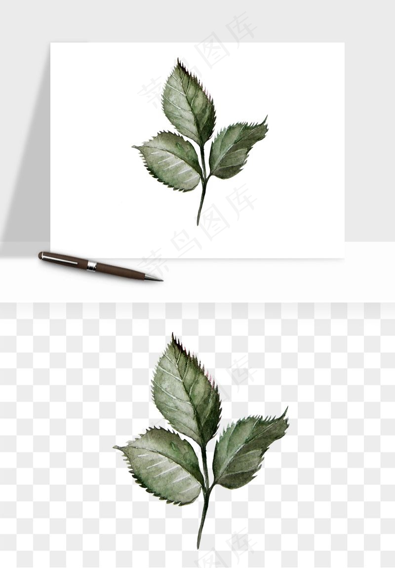 水彩复古花卉png免抠