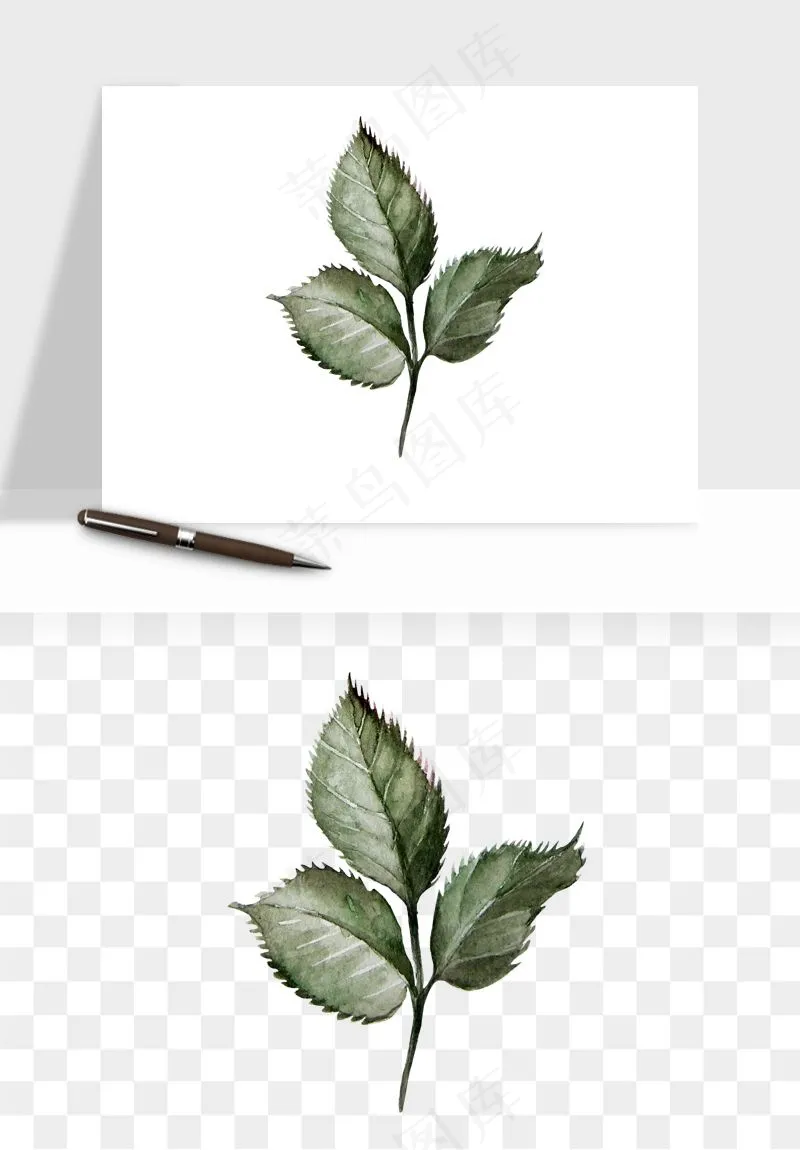 水彩复古花卉png免抠