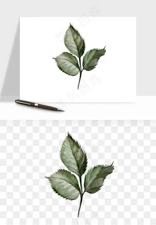 水彩复古花卉png免抠