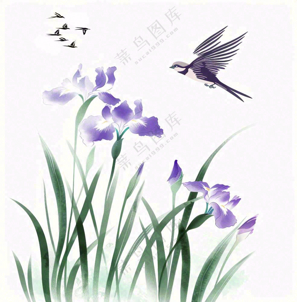 水墨画兰花鸟类紫色兰花插画免抠