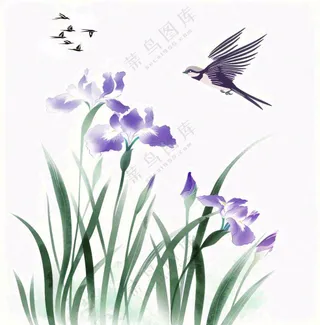 水墨画兰花鸟类紫色兰花插画免抠