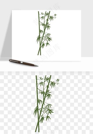 手绘竹子竹叶png免抠