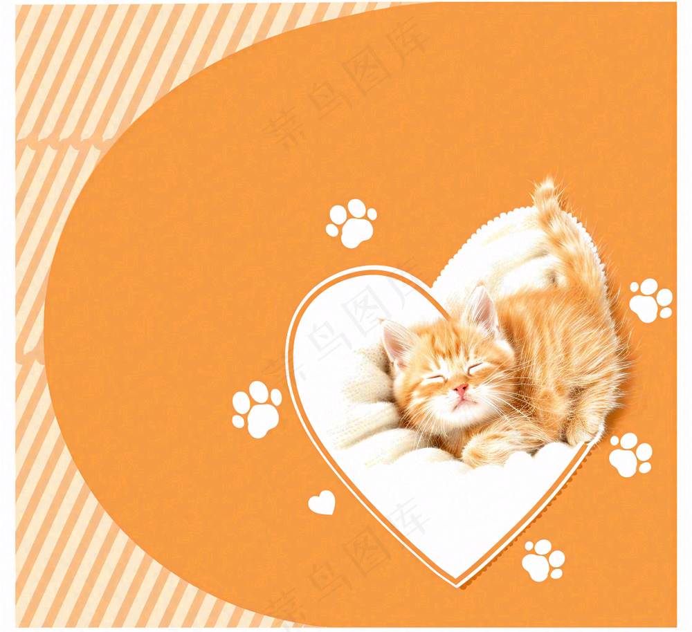 宠物常识宠物攻略猫狗卡通插画背景