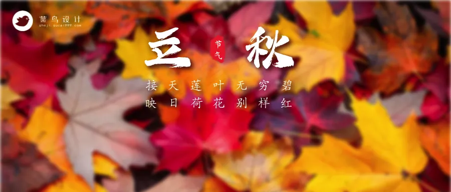 立秋公众号首图