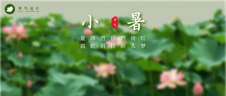 小暑公众号首图