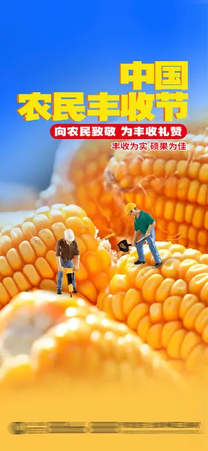 中国人民丰收节节气72DPI海报