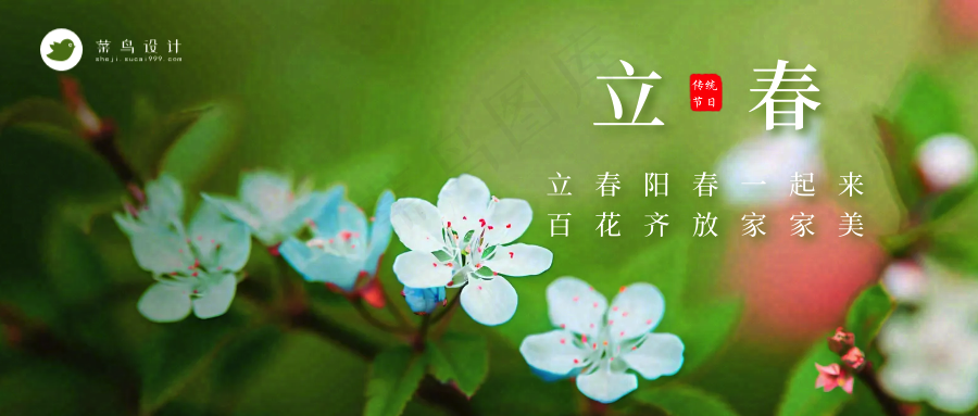 立春公众号首图