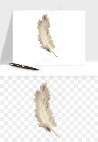 白羽毛漂浮彩色羽毛png免抠