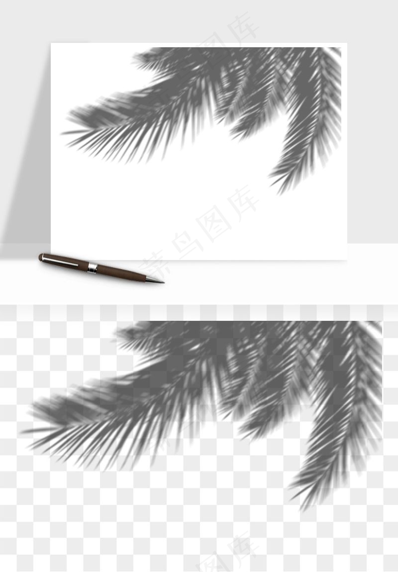 阴影植物窗户投影免抠元素