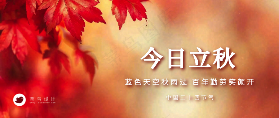 立秋公众号首图