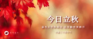 立秋公众号首图