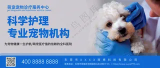 萌宠宠物医院公众号首图