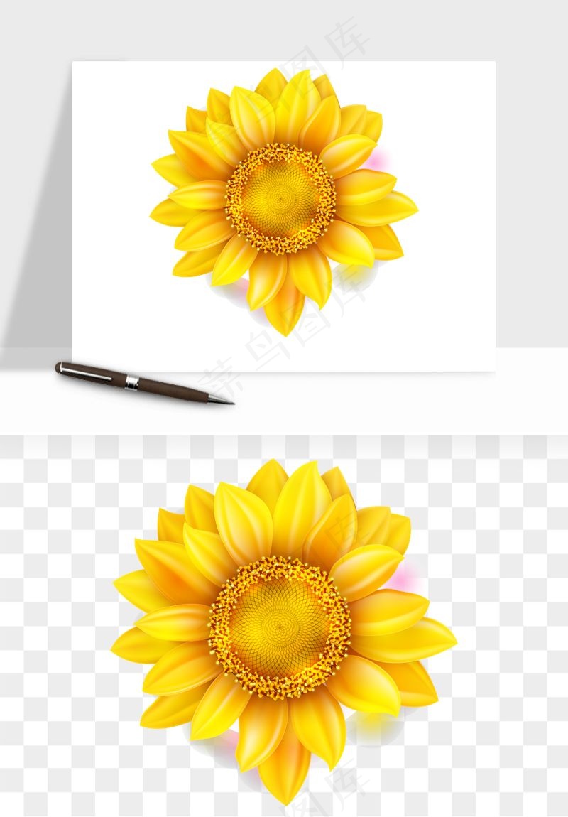 向日葵太阳花卉png免抠