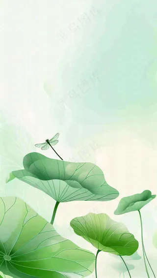 夏天荷花荷叶清凉小清新淡雅立夏夏至暑插画背景