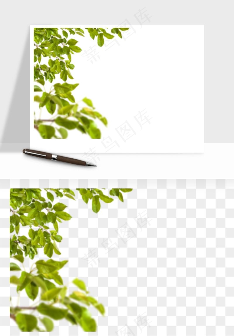 绿叶虚化前景树枝png免抠