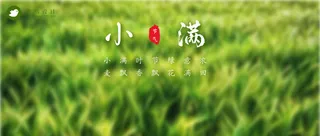 小满公众号首图