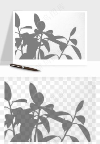 阴影植物窗户投影免抠元素