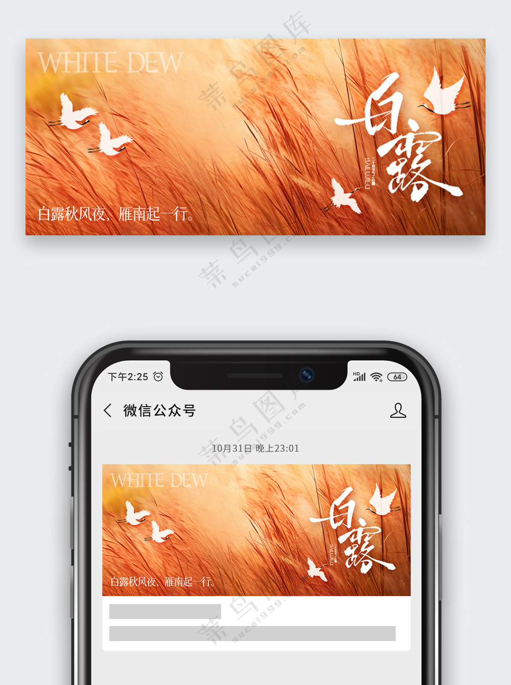 极简意境芦苇白露节气公众号首图