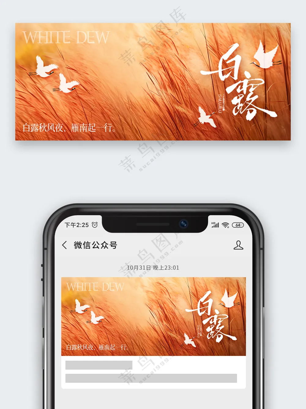 极简意境芦苇白露节气公众号首图