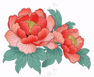 国花牡丹鲜艳花朵植物插画免抠