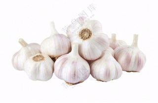 大蒜免抠