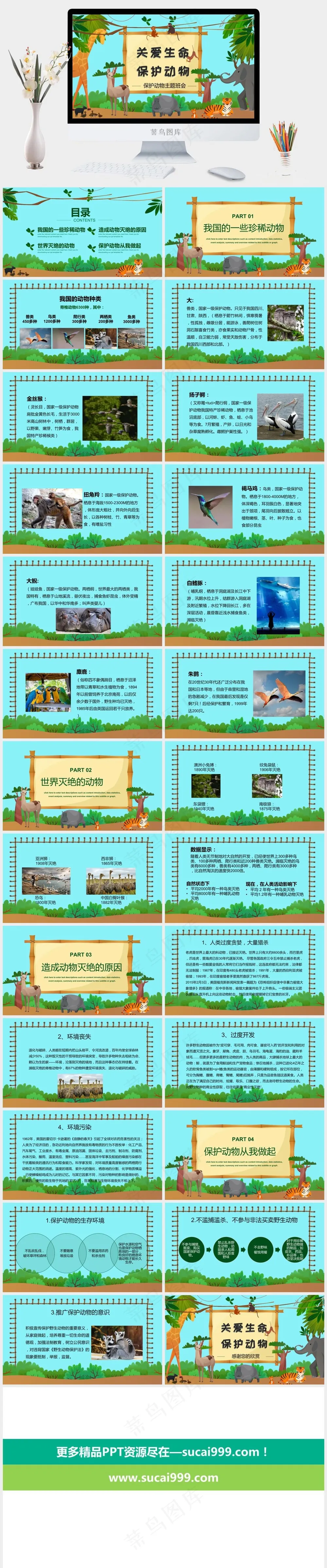 保护野生动物生态环境保护PPT