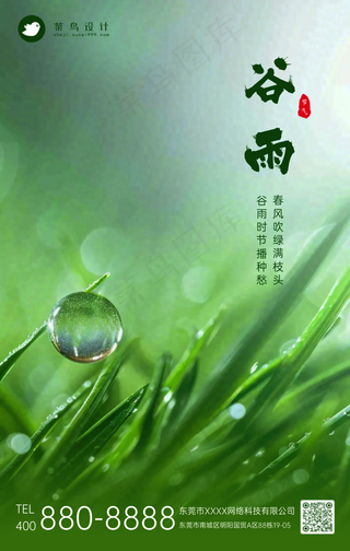 谷雨手机海报