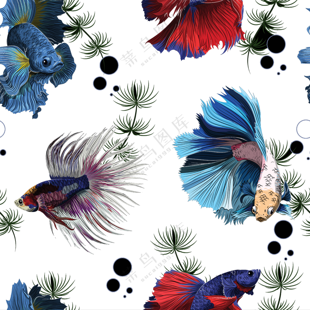 水中植物与游动的金鱼免抠图片素材