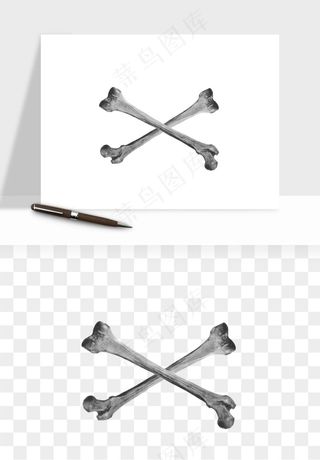 人体骨头png免抠