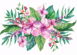 花艺插画植物花朵水彩免抠