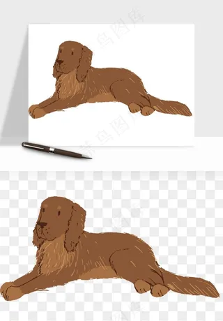 手绘狗狗宠物png免抠