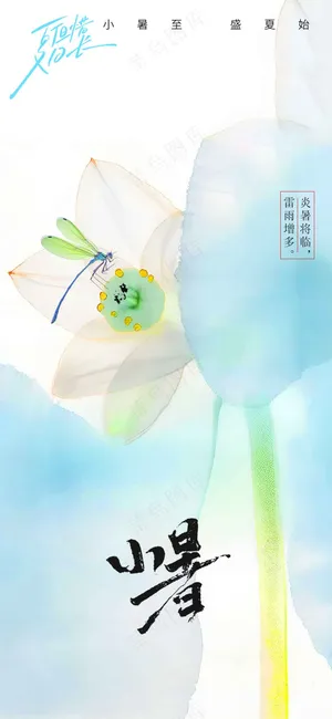 简约小暑节气海报