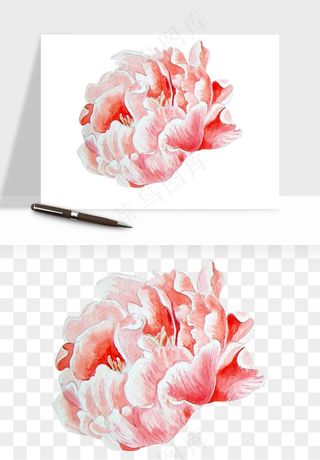 水彩复古花卉png免抠