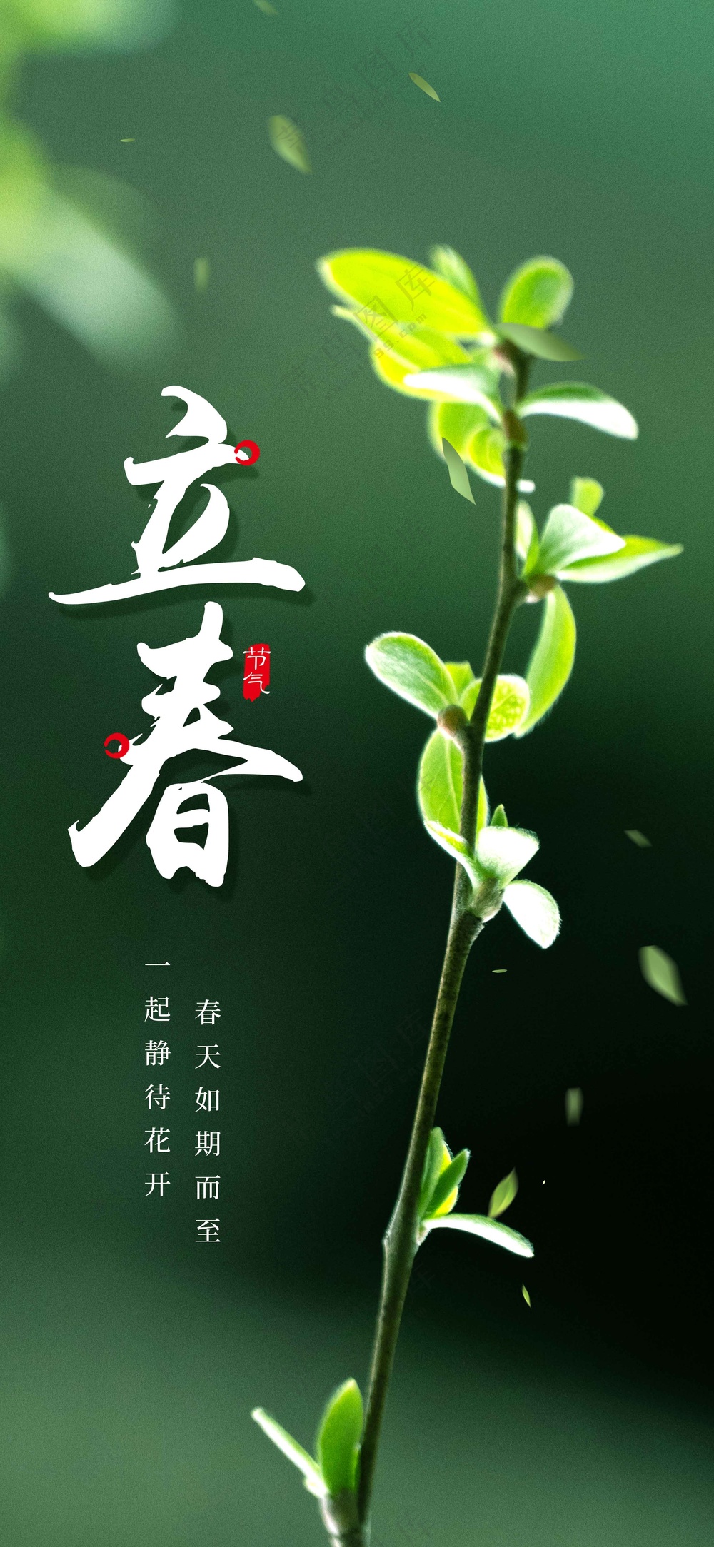 立春节气传统活动海报