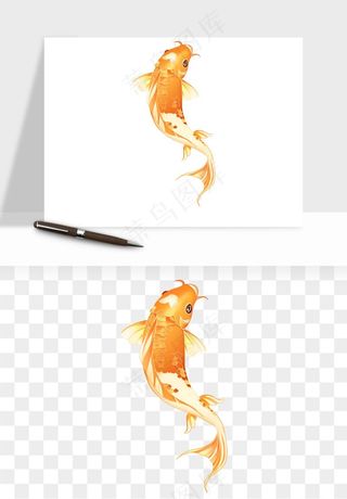 锦鲤鱼手绘水墨png免抠